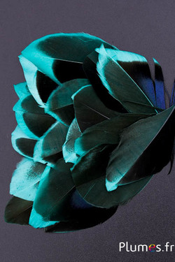 Pétales en plumes - 5-8 x 3-4 cm - jade-noir